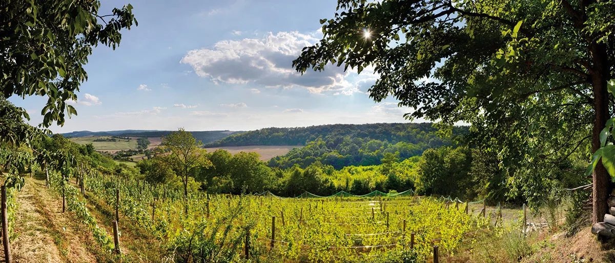 hegyem_landschap_home