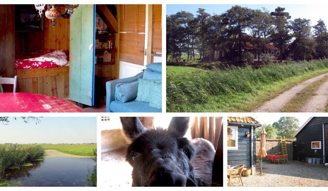 Noord-Holland slapen tussen het riet. B&B De Mijzerhof