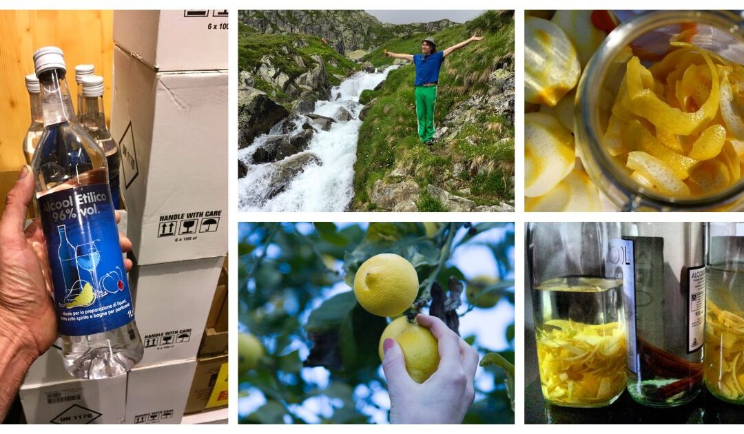 Zelf Limoncello maken , zo lekker !