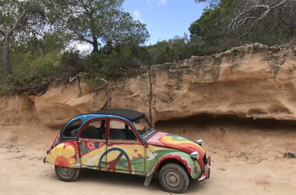 Lelijke eend in hippie kleuren voor een berg