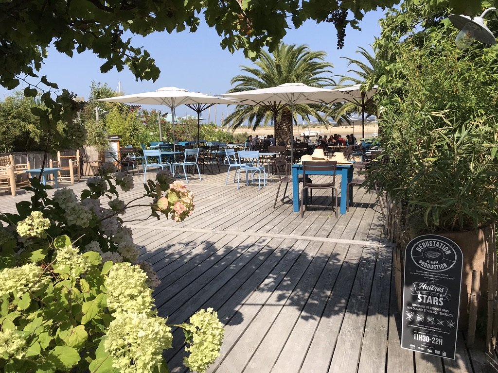 Terras omgeven door groene struiken en bomen