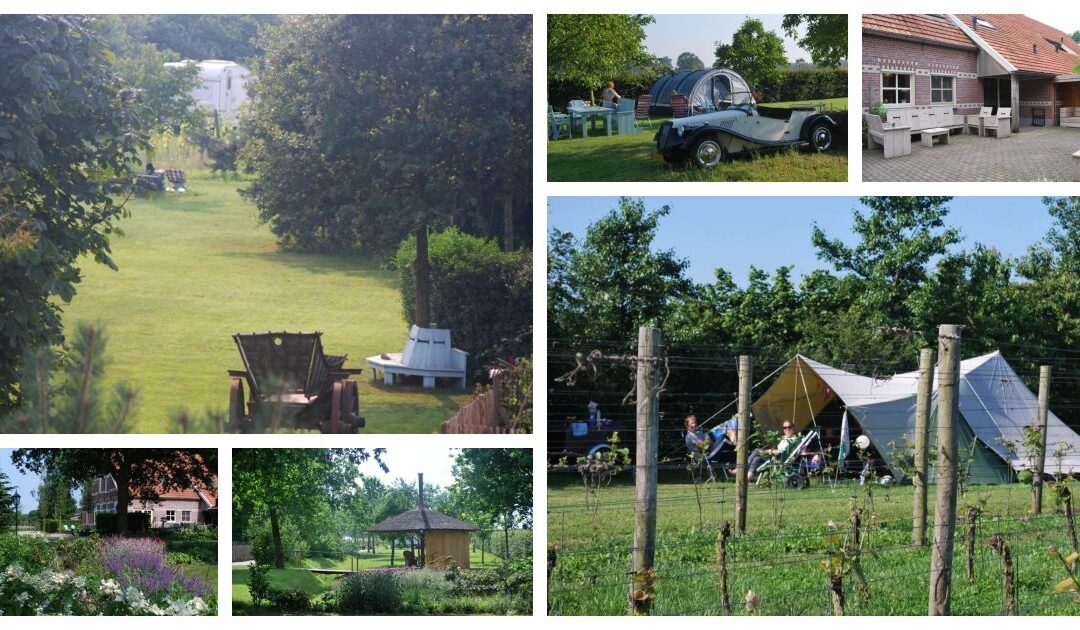 Gelderland .Vakantie in de wijngaard