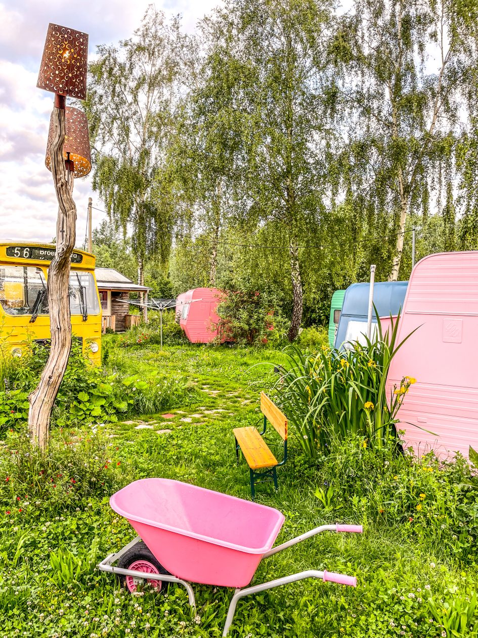 Wilde tuin met op de voorgrond een roze kruiwagen en in de verte een gele bus.