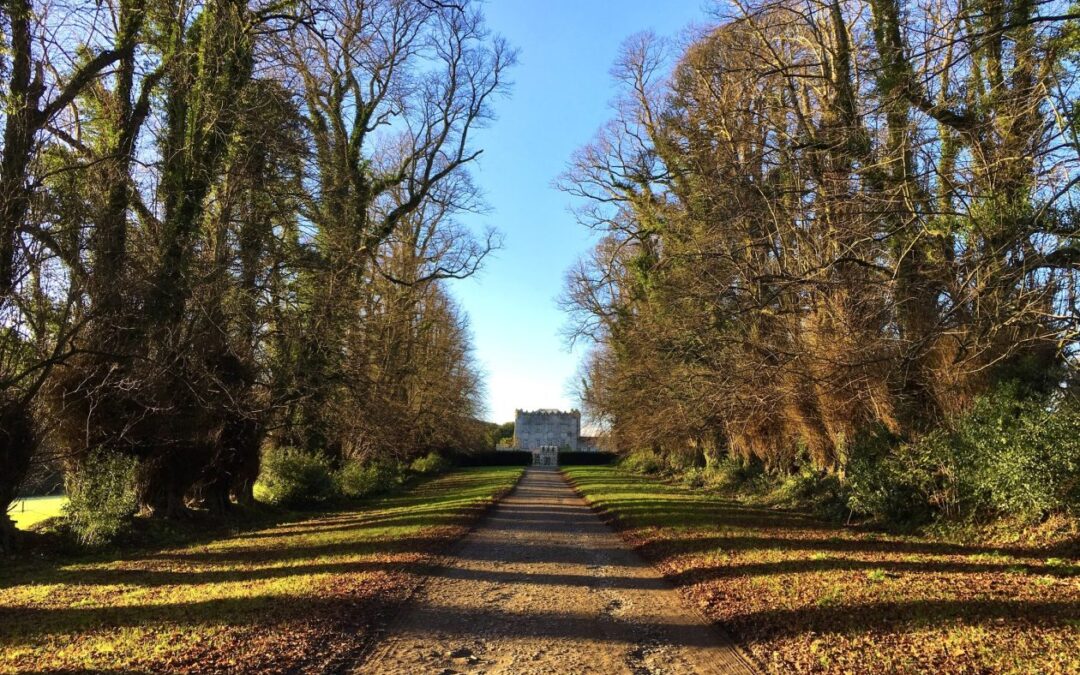 Oprijlaan met aan weerszijde bomen en aan het einde een kasteel