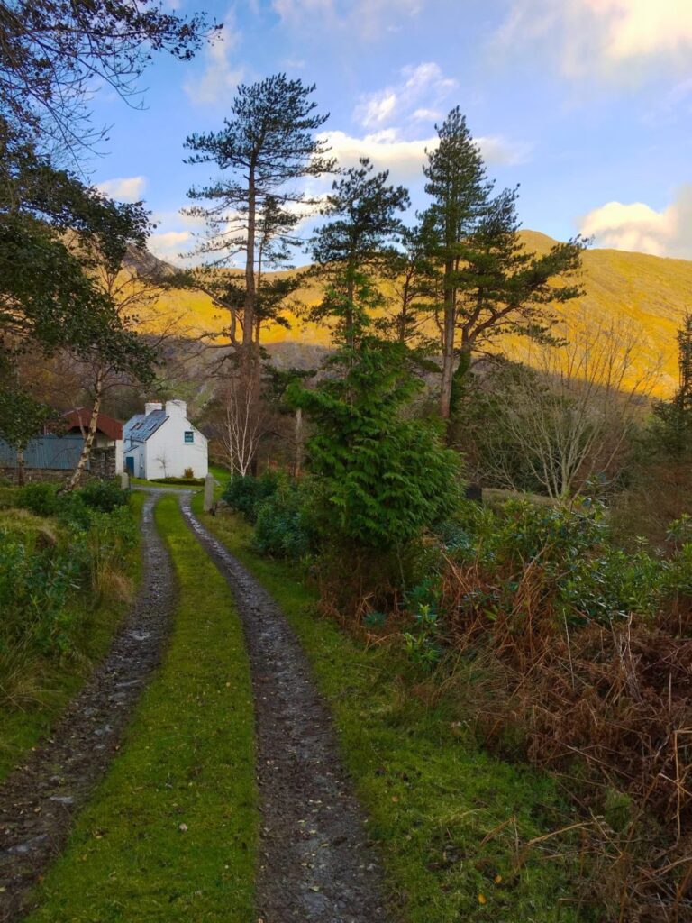 witte cottage omzoomd door bossen met in de achtergrond bergen