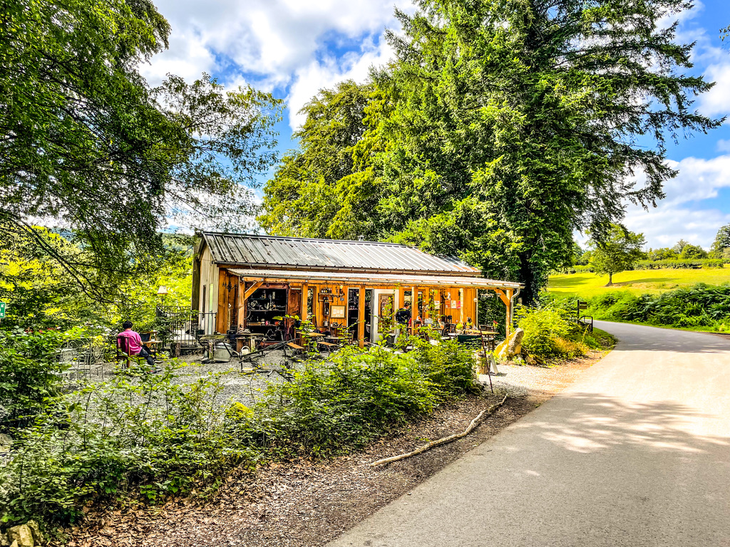 Blokhut cafe in het bos