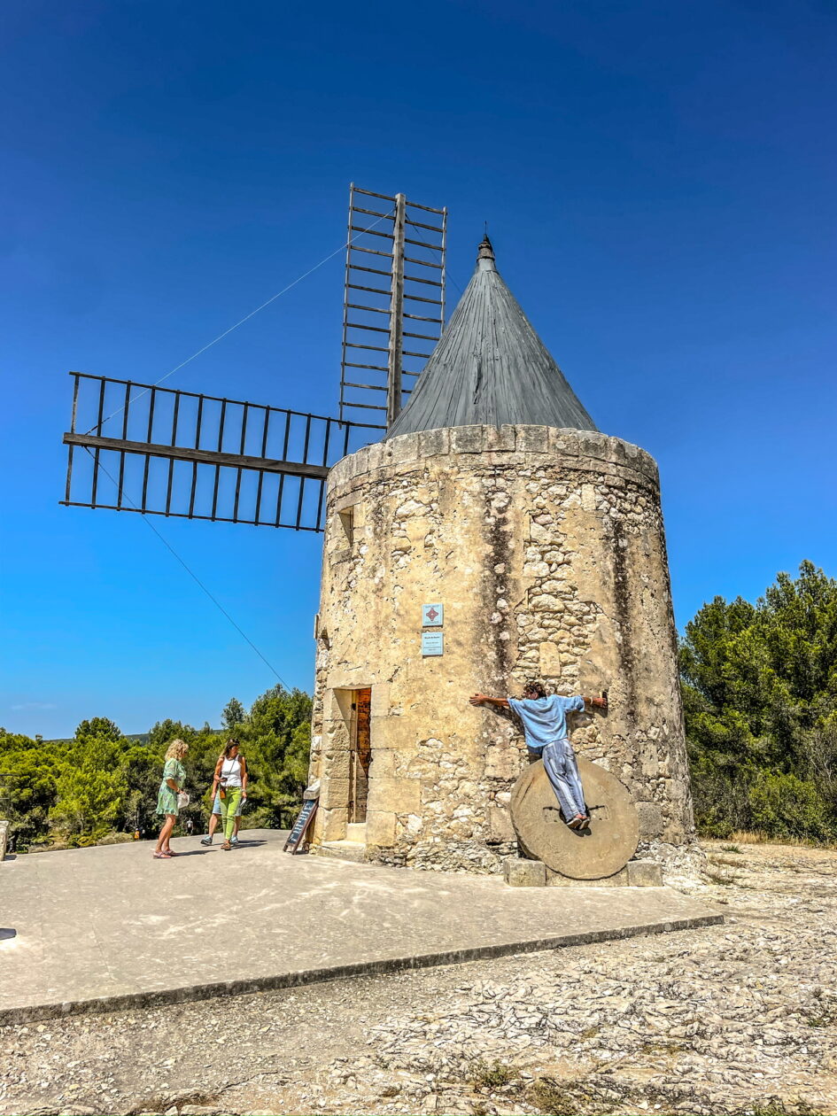 Franse windmolen van geel steen met rechts een bomenrij