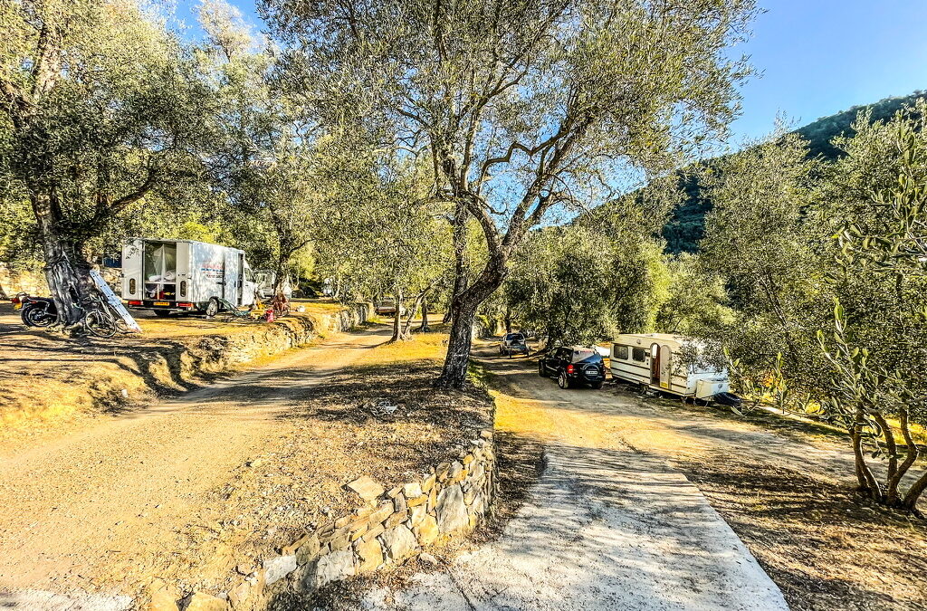 camping met camper in een olijfboomgaard