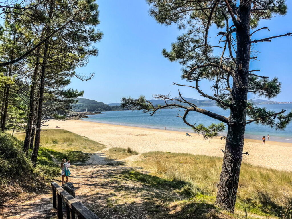 twee dennenbomen met daartussen het strand en de zee